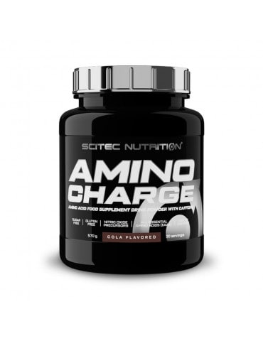 AMINO CHARGE (570G)