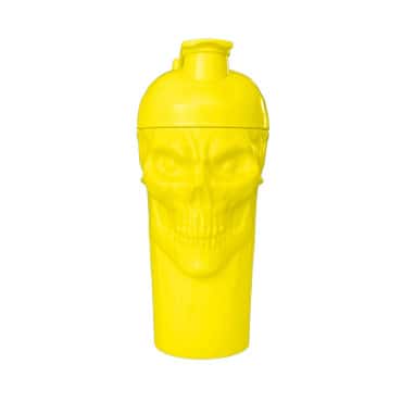 The Curse! Skull Shaker...