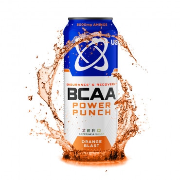 BCAA power punch (500ml)