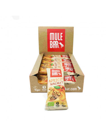 Barres énergétiques Vegan (15x40g)