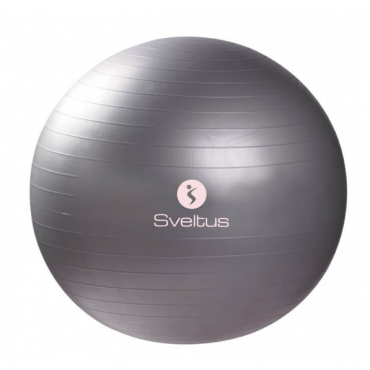 Gymball gris (65cm) et...