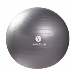 Gymball gris (65cm) et pompe à main (24,5cm)