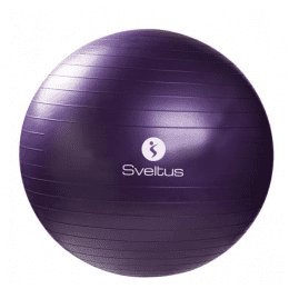 Gymball parme (75cm) et pompe à main (24,5cm)