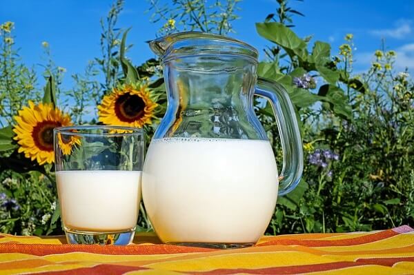 Le lait, source de vitamine D, bon pour la force musculaire
