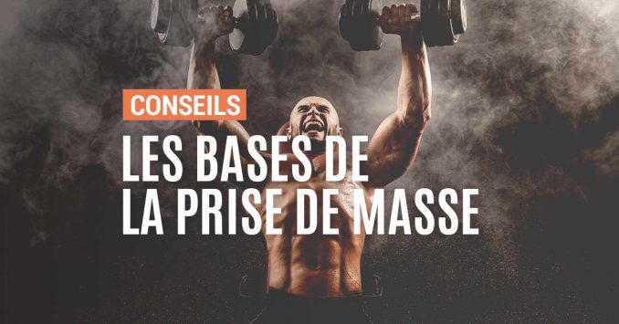 Conseils de base pour la prise de masse