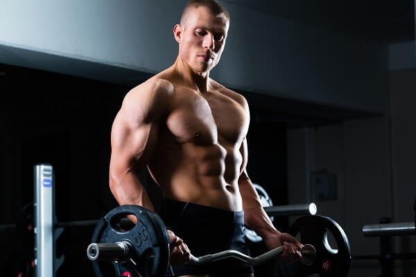 Musculation et testostérone