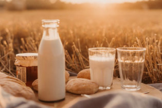 Faut-il continuer à consommer du lait ?