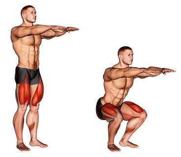 Picto exercice homme squat au poids de corps
