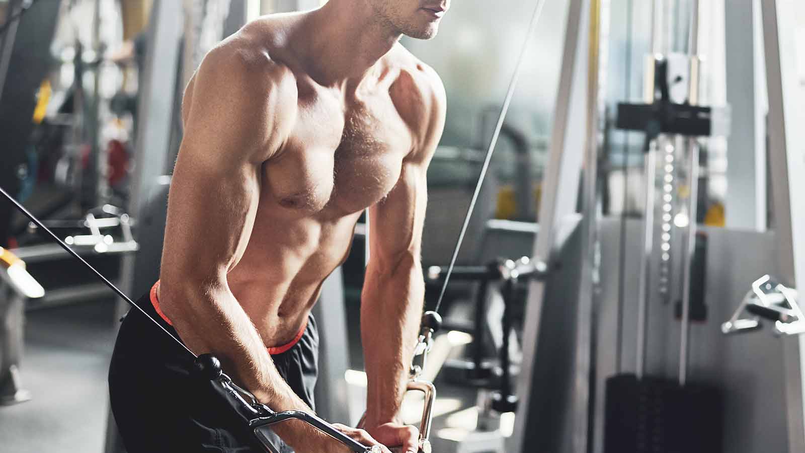 Accessoire de musculation : la corde à triceps naturelle pour entraînement  à la poulie
